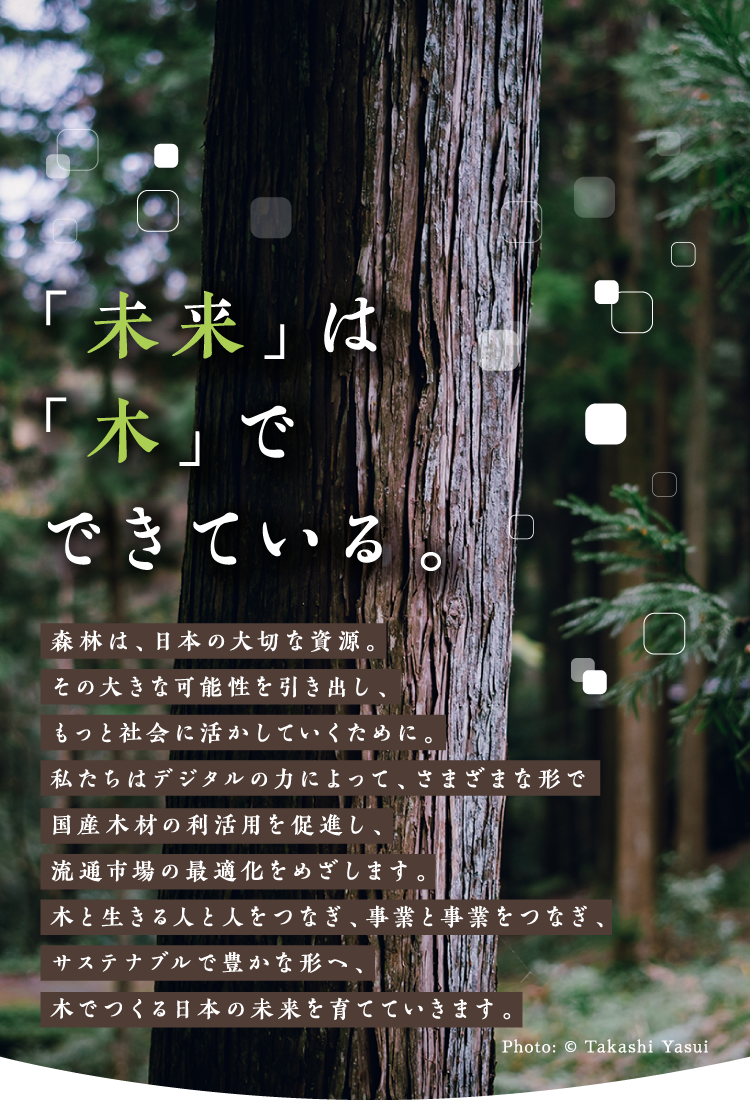 「未来」は「木」でできている。森林は、日本の大切な資源。その大きな可能性を引き出し、もっと社会に活かしていくために。私たちはデジタルの力によって、さまざまな形で国産木材の利活用を促進し、流通市場の最適化をめざします。木と生きる人と人をつなぎ、事業と事業をつなぎ、サステナブルで豊かな形へ、木でつくる日本の未来を育てていきます。　Photo: © Takashi Yasui