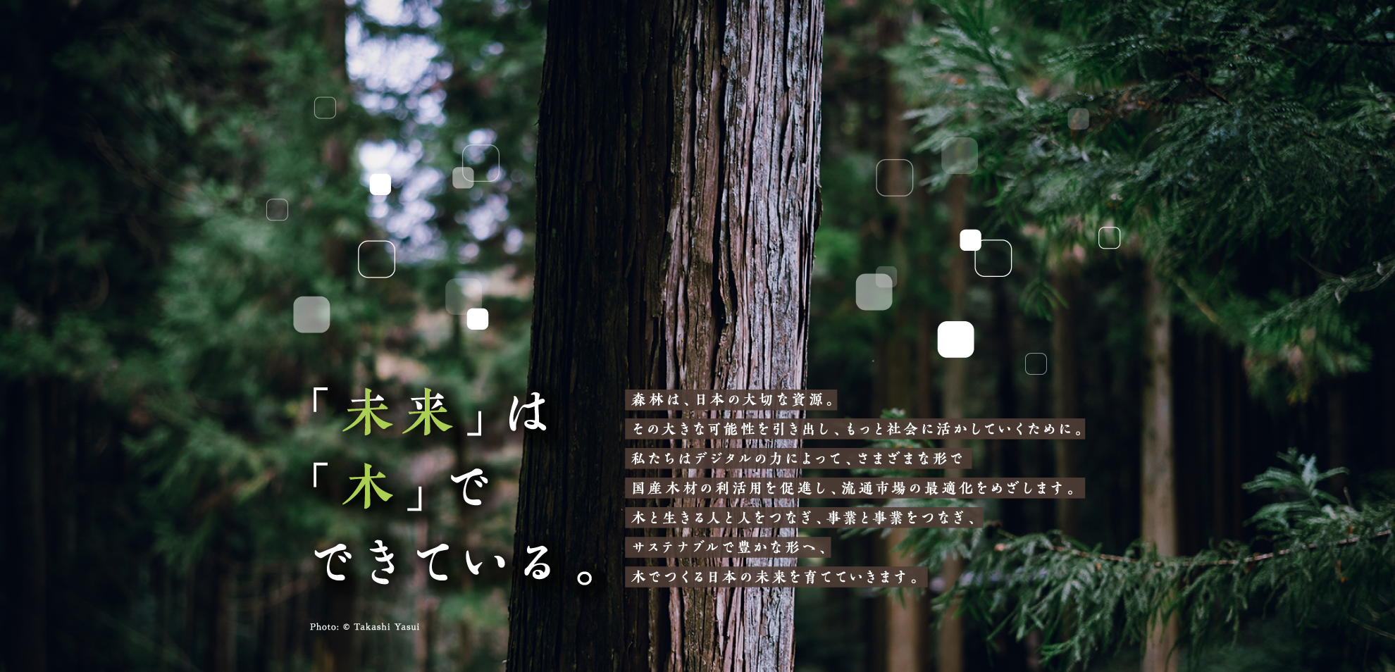 「未来」は「木」でできている。森林は、日本の大切な資源。その大きな可能性を引き出し、もっと社会に活かしていくために。私たちはデジタルの力によって、さまざまな形で国産木材の利活用を促進し、流通市場の最適化をめざします。木と生きる人と人をつなぎ、事業と事業をつなぎ、サステナブルで豊かな形へ、木でつくる日本の未来を育てていきます。　Photo: © Takashi Yasui